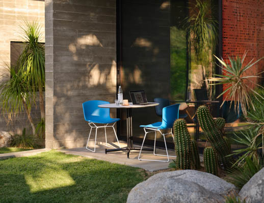 Iquo Round Table Bertoia Molded Shell Side Chair
