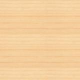 Maple
